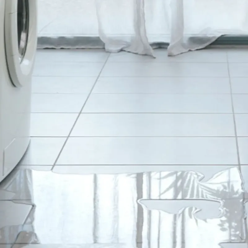 Appliance Leak Cleanup in Whiteland, IN