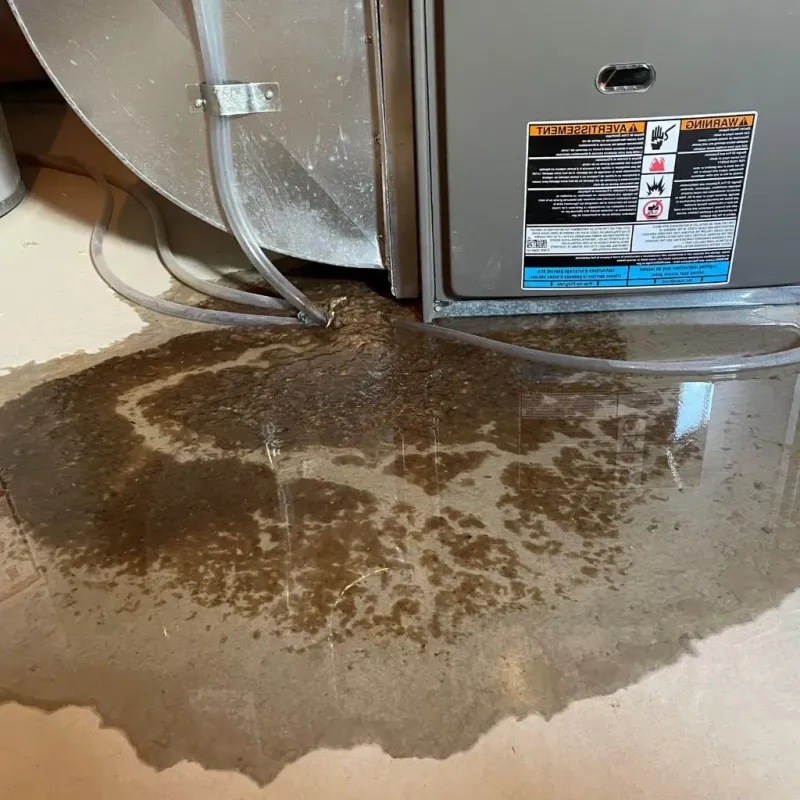 Pipe Burst and Leak Restoration in Whiteland, IN