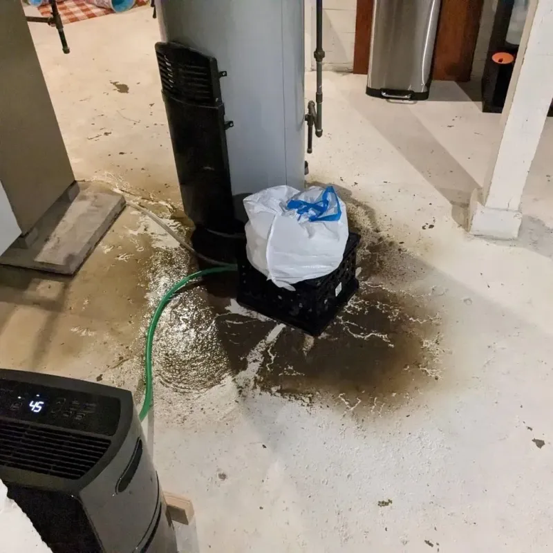 Sewage Backup Cleanup Service in Whiteland, IN